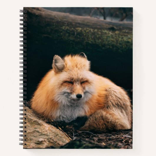 Carnet Red Fox dormant (Devant)