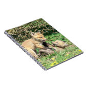Carnet Red Fox Kits Jouer (Côté Droit)