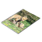 Carnet Red Fox Kits Jouer (Côté gauche)