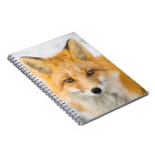 Carnet Red Fox Portrait (Côté Droit)