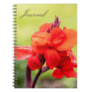Carnet Red Lily