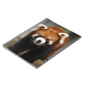 Carnet Red Panda (Côté gauche)