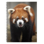 Carnet Red Panda (Devant)