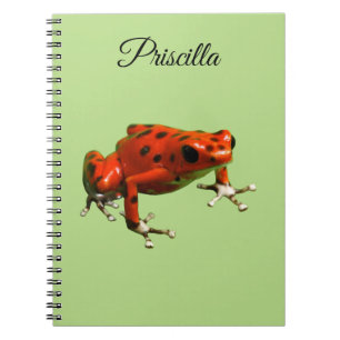 Carnet Red Poison Dart Frog