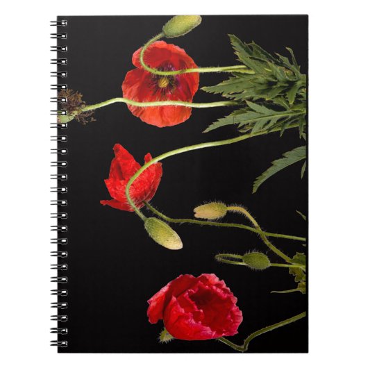 Carnet Red Poppies (Devant)