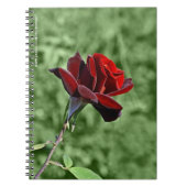 Carnet Red Rose (Devant)