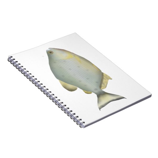 Carnet Red Ruby Piranha (Côté Droit)