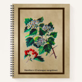 Carnet Redhaw Hawthorn sur vieux papier (Devant)