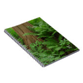 Carnet Redwood & Ferns (Côté Droit)
