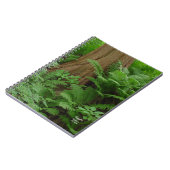 Carnet Redwood & Ferns (Côté gauche)