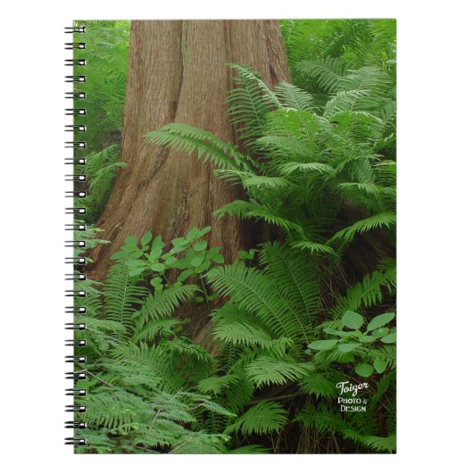 Carnet Redwood & Ferns (Devant)