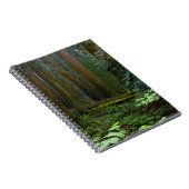 Carnet Redwoods Dans Le Parc National De Muir Woods (Côté Droit)