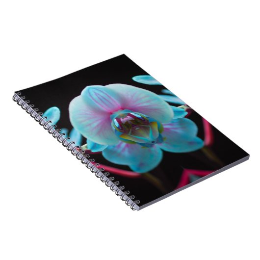 Carnet Réflection de l'orchid bleu exotic (Côté Droit)