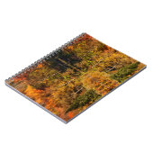 Carnet Reflet d'automne sur l'étang Coffin (Côté gauche)
