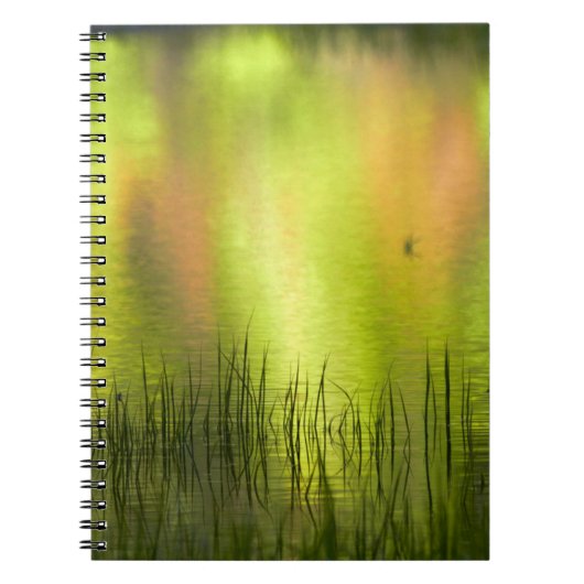 Carnet Reflets dans Mirror Lake | Yosemite (Devant)