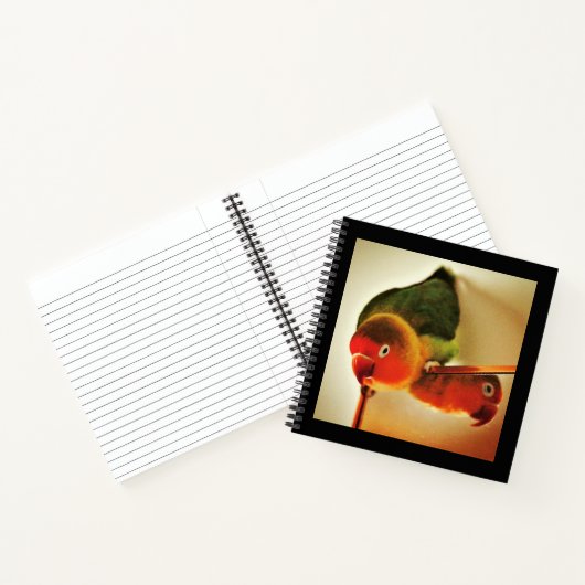 Carnet Réflexion (Intérieur)