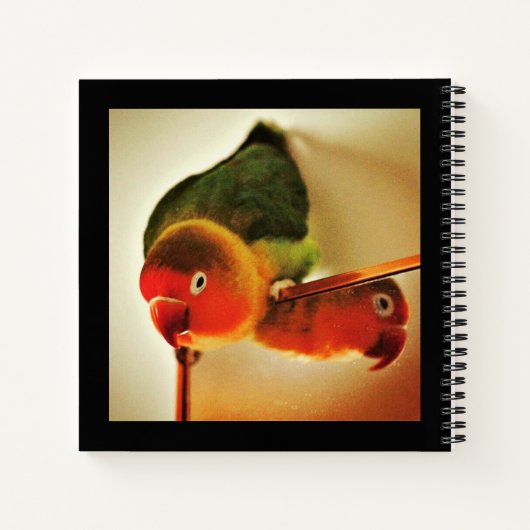 Carnet Réflexion (Dos)