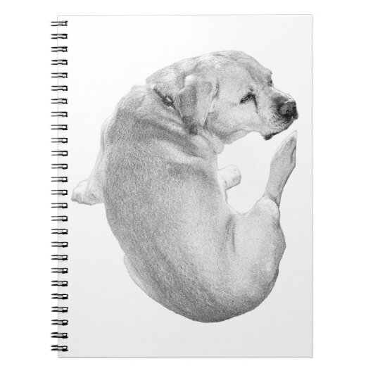 Carnet Réflexions courbes (Devant)