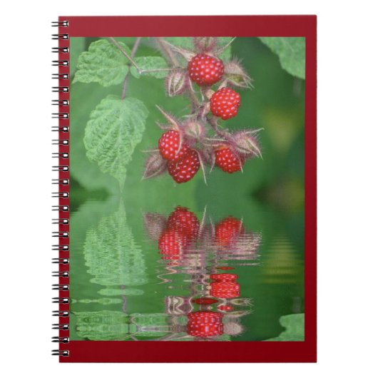 Carnet Réflexions de framboise rouge (Devant)