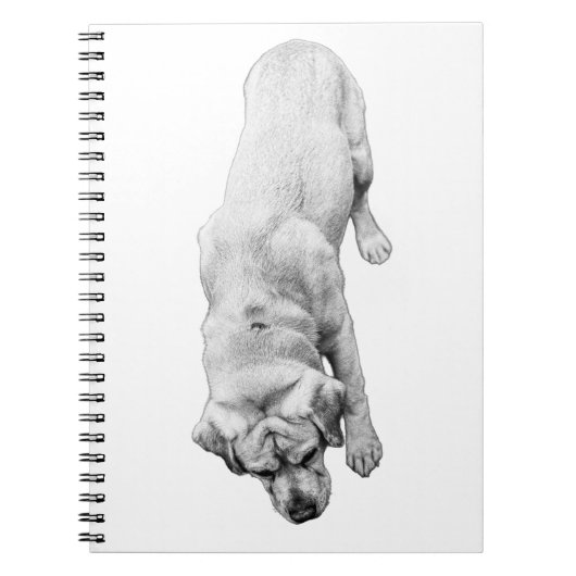 Carnet Réflexions sur l'encre (Devant)