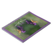 Carnet Réflexions sur les papillons (Côté gauche)