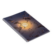 Carnet Refuge faunique national de Bosque del Apache (Côté Droit)