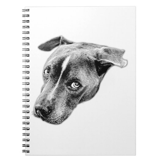 Carnet Regard stable pour des pensées stables (Devant)