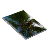Carnet Regard sur le palmier à coco Nature tropicale (Côté Droit)