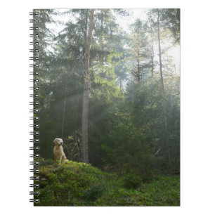 Carnet Région boisée de pin du chien de golden