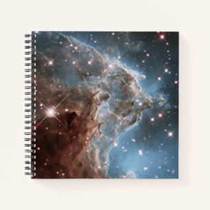 Carnet Région de mise en marche Ngc 2174, Nebula tête de