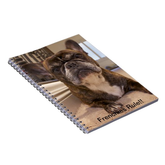 Carnet Règle de Français ! ! (Côté Droit)