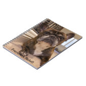 Carnet Règle de Français ! ! (Côté gauche)