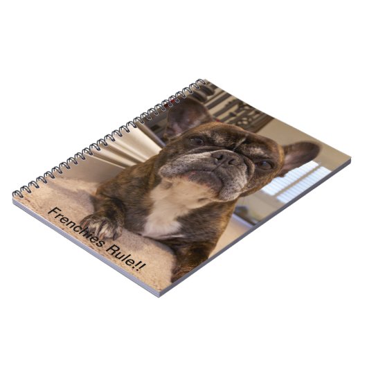 Carnet Règle de Français ! ! (Côté gauche)