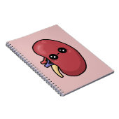 Carnet Rein mignon - Biologie humaine (Côté Droit)