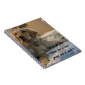 Carnet Remi the Golden Retriever (Côté Droit)