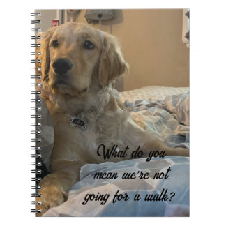 Carnet Remi the Golden Retriever