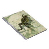 Carnet Remonter le crapaud dans l'eau (Côté Droit)