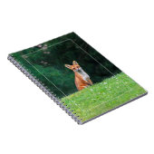 Carnet Ren mignon (Côté Droit)