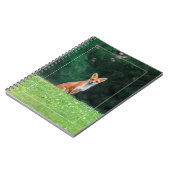 Carnet Ren mignon (Côté gauche)