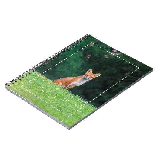 Carnet Ren mignon (Côté gauche)