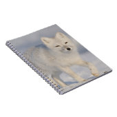 Carnet Renard Arctique, Alaska (Côté Droit)