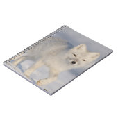 Carnet Renard Arctique, Alaska (Côté gauche)