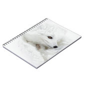 Carnet Renard arctique recouvert en hiver (Côté gauche)