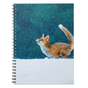 Carnet Renard en chute de neige. Renard rouge, Vulpes vul