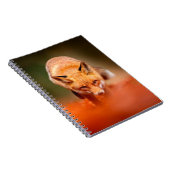 Carnet Renard rouge courant sur les feuilles d'automne or (Côté Droit)