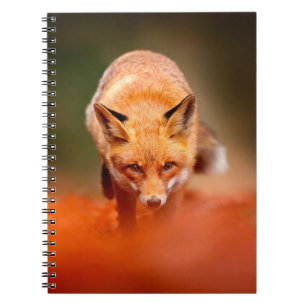 Carnet Renard rouge courant sur les feuilles d'automne or
