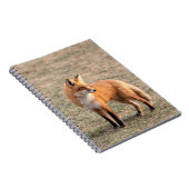 Carnet Renard rouge dans un champ (Côté Droit)