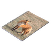 Carnet Renard rouge dans un champ (Côté gauche)