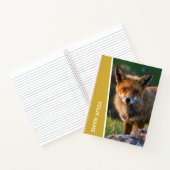 Carnet Renard rouge en Australie, Or (Intérieur)