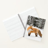 Carnet Renard rouge en neige blanche (Intérieur)